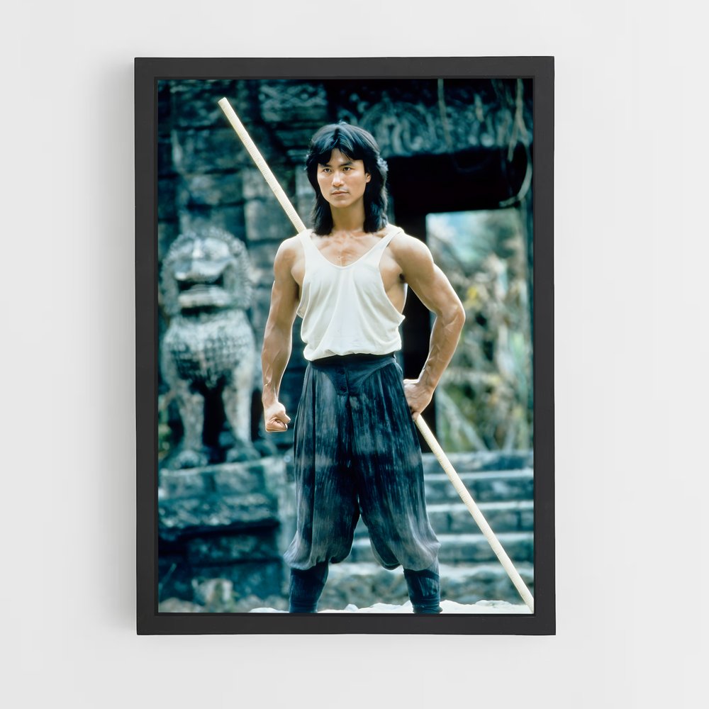 Poster Maître des Arts Martiaux – affiche Mortal kombat (vue 2)